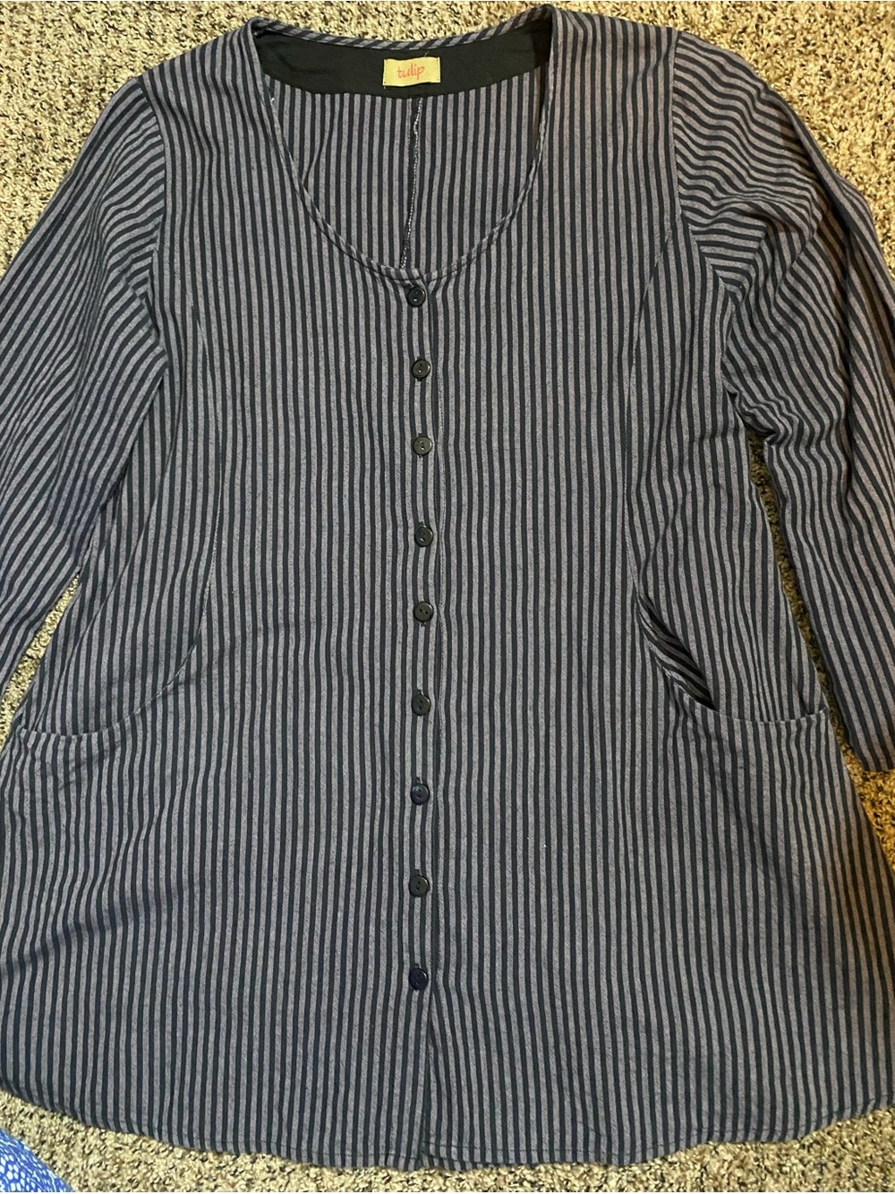 Tulip Blue Striped Button-Front Long Sleeve Mini Dress/Tunic